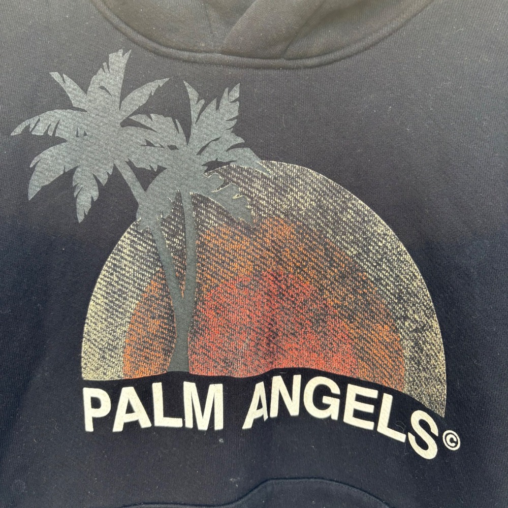 Palm Angels Mens Black Palm Tree Sunset Graphic Hoodie PMBB058S20631016 Size M - Picture 2 of 8